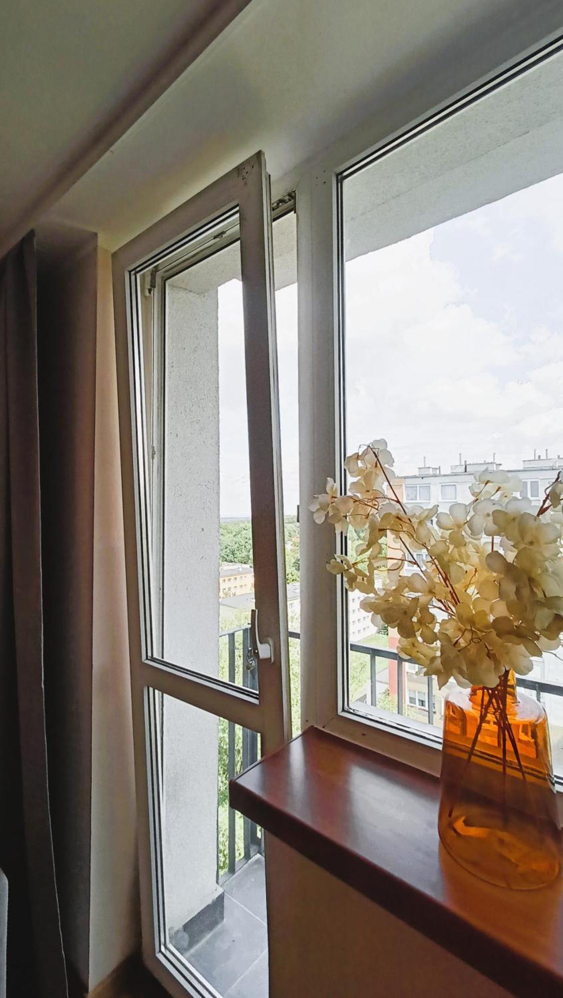 Drzewna Apartamenty - Wladyslawa Зелёна-Гура Экстерьер фото