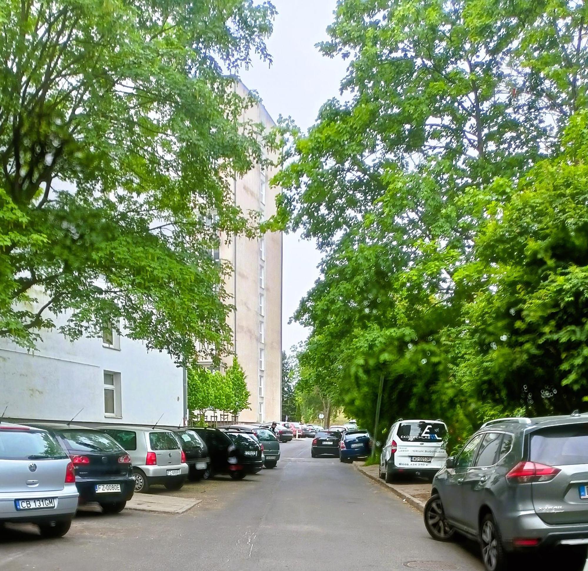 Drzewna Apartamenty - Wladyslawa Зелёна-Гура Экстерьер фото
